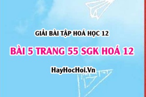 Giải bài 5 trang 55 SGK Hoá 12: Tính chất hoá học của Peptit và Protein